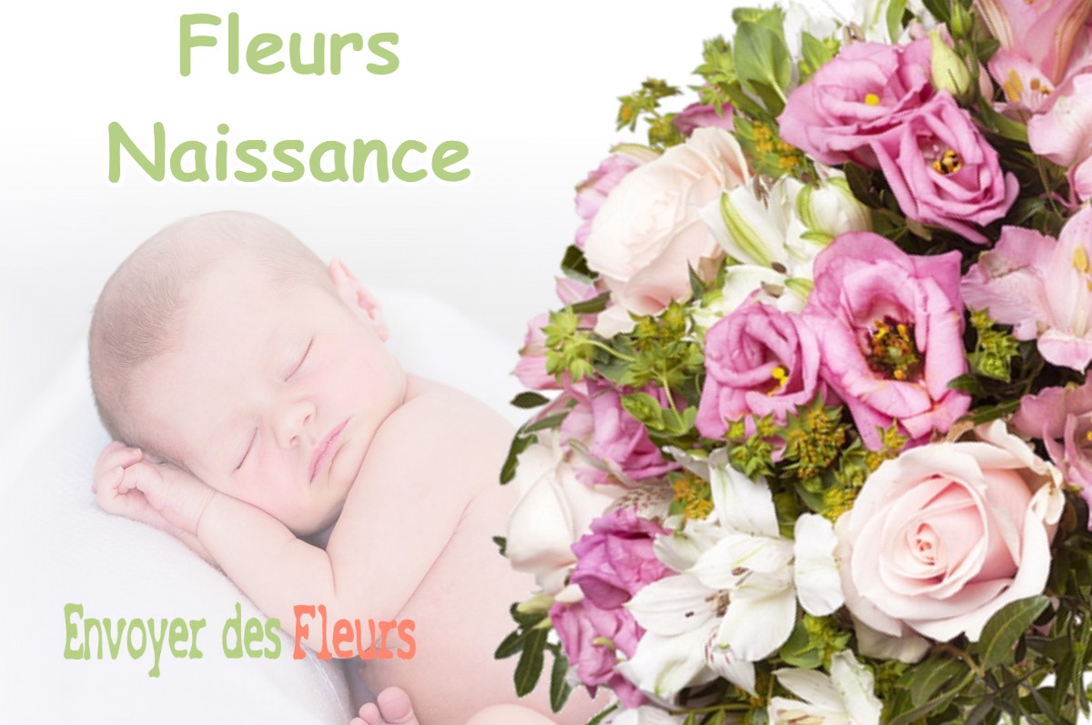 lIVRAISON FLEURS NAISSANCE à OUNANS